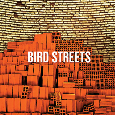 Spaceship/Bird Streets