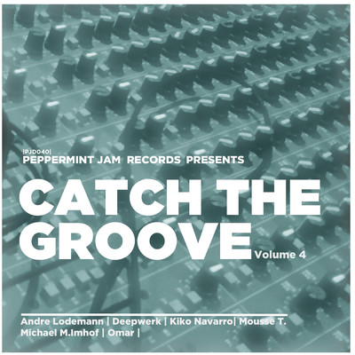 Catch The Groove, Vol. 4/Various Artists