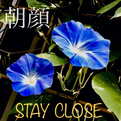 シングル/朝顔/STAY CLOSE