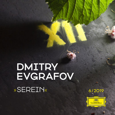 Serein/Dmitry Evgrafov