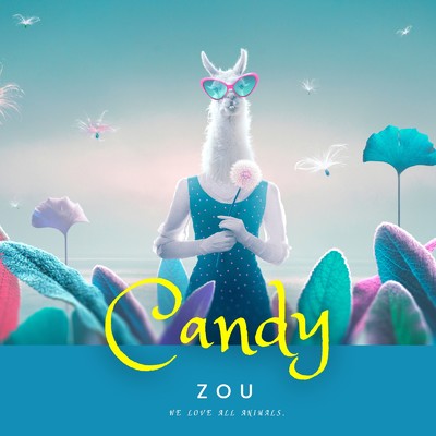 シングル/Candy/ZOU