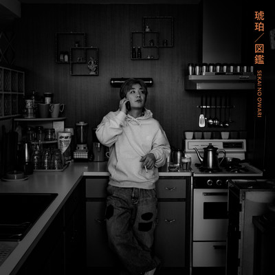 アルバム/琥珀／図鑑/SEKAI NO OWARI
