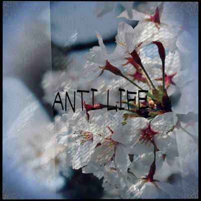 ANTI LIFE/AXEL