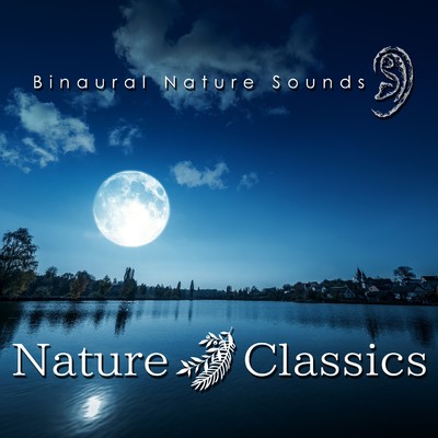 シングル/sea(op.27-2 Moonlight Sonata 1st Mov)/binaural field