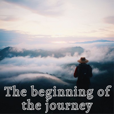 アルバム/The beginning of the journey/2strings