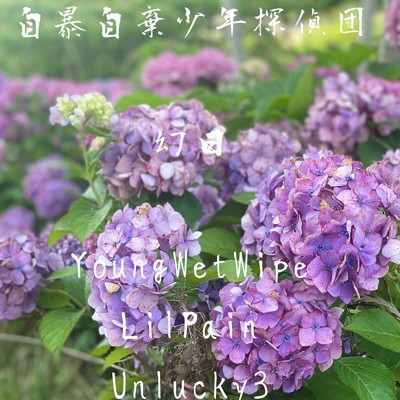 幻日 (feat. lilpain & unlucky3)/自暴自棄少年探偵団