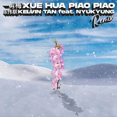 Yi Jian Mei Xue Hua Piao Piao (featuring Nyukyung／Remix)/Kelvin Tan