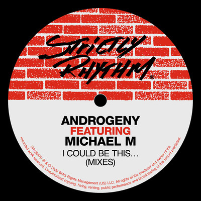 I Could Be This... (feat. Michael M) [Joey Musaphias Deep Cover Mix]/Androgeny