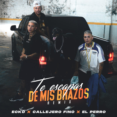 Te Escapas De Mis Brazos (Remix)/Ecko, Callejero Fino, El Perro
