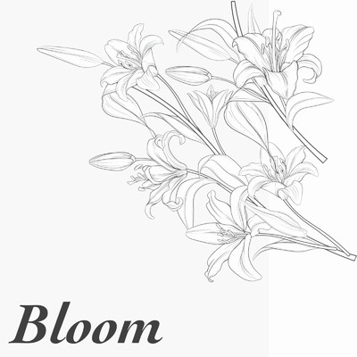 Bloom/YORUYU.