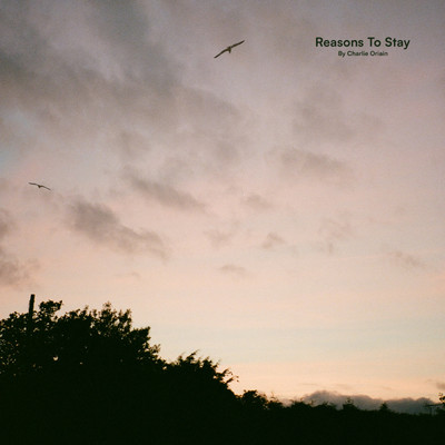 Reasons To Stay/Charlie Oriain
