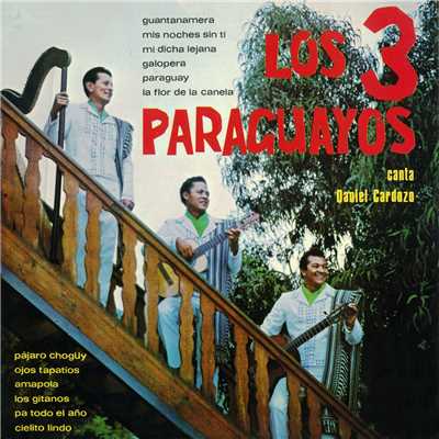 Pajaro chogui (2018 Remaster)/Los 3 Paraguayos