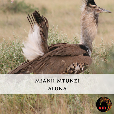 アルバム/Aluna/Msanii Mtunzi