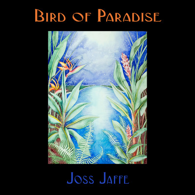 Bird of Paradise (Space Echo Version)/Joss Jaffe