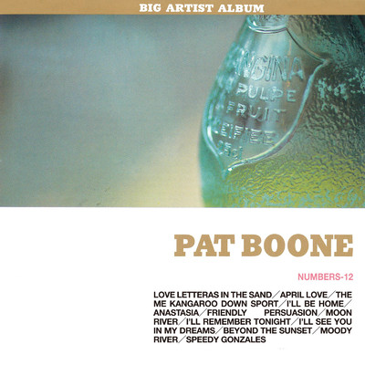 アルバム/ビック・アーティスト・アルバム パット・ブーン/Pat Boone