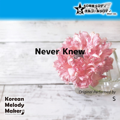Never Knew〜K-POP40和音メロディ (Short Version)/Korean Melody Maker