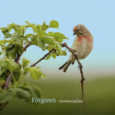 Forgiven/Christian Janssen