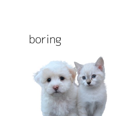 boring/wewewe feat. ずんだもん