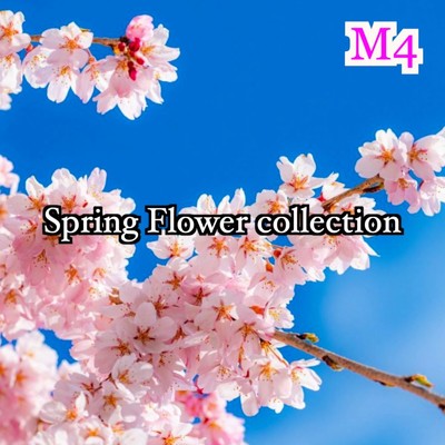 アルバム/Spring Flower collection/M4