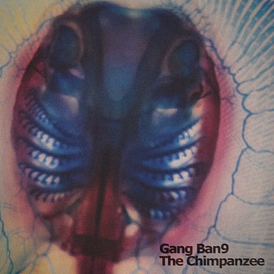 Gang Ban9 The Chimpanzee/骨盤プラスチック