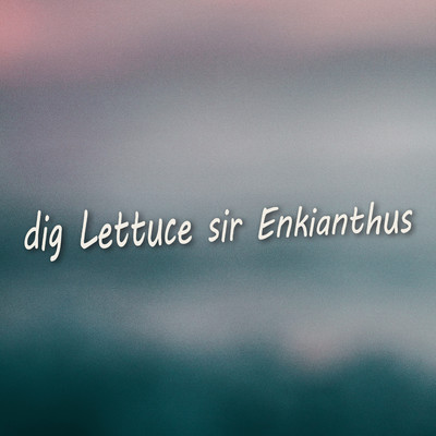 dig Lettuce sir Enkianthus/gig 18 Jabuticaba