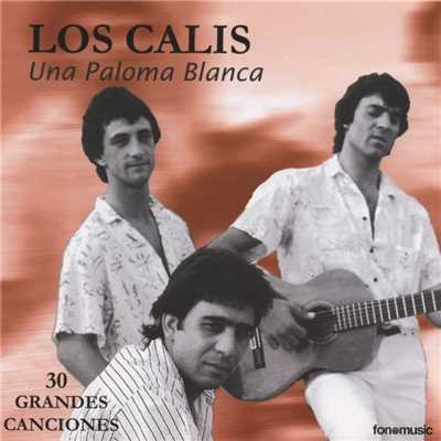 アルバム/30 Grandes Canciones/Los Calis