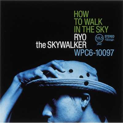 シングル/SUNNY DAY WALK -dub-/RYO the SKYWALKER
