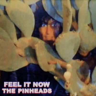 シングル/Feel It Now/The Pinheads