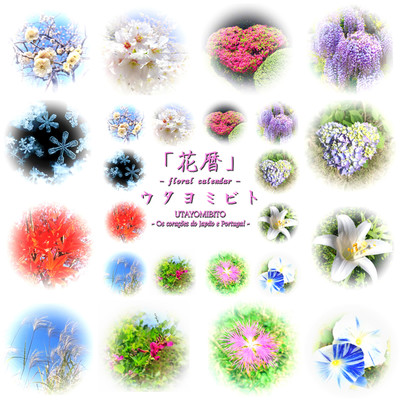 梅の花/ウタヨミビト
