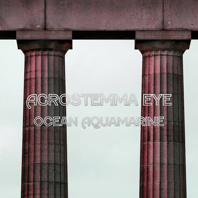 Agrostemma Eye Ocean Aquamarine/Turtle Zigok Master