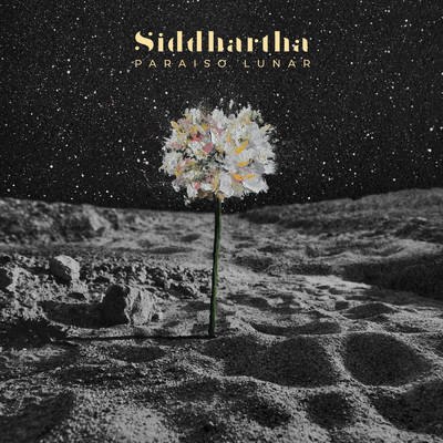 Paraiso Lunar/Siddhartha