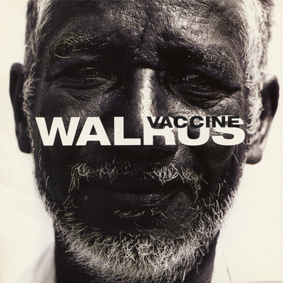 アルバム/VACCINE/WALRUS