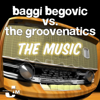The Music (Sebastian Krieg Remix)/Baggi Begovic／Groovenatics