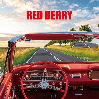 NEW BOOK/RED BERRY