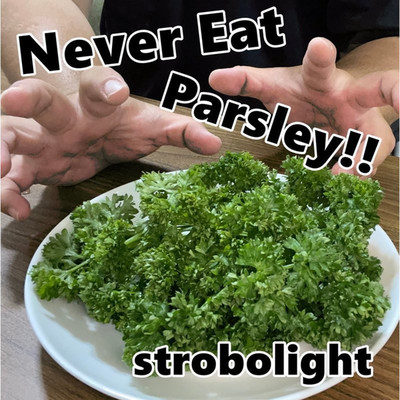Never Eat Parsley！！/strobolight