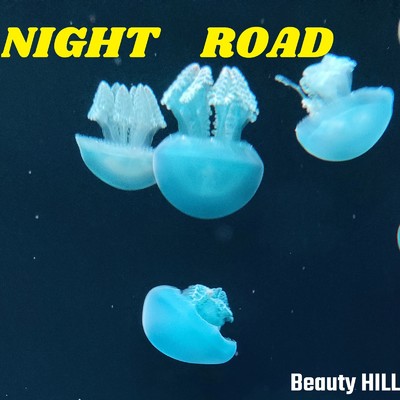 NIGHT ROAD/Beauty HILL
