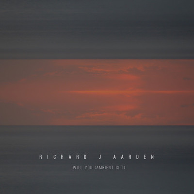 Will You (Ambient Cut)/Richard J Aarden