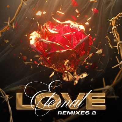 Eternal Love Remixes 2/Diijam Studio
