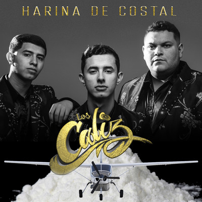 シングル/Harina De Costal/Los Caliz