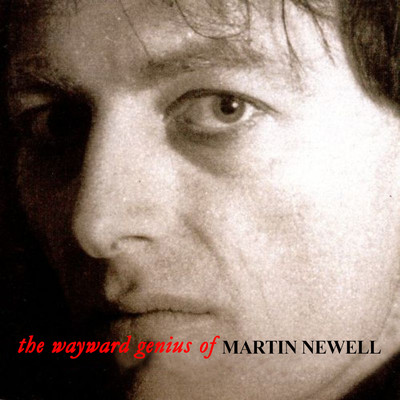 The Wayward Genius Of Martin Newell/Martin Newell