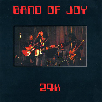 What Did You Expect？/Band Of Joy
