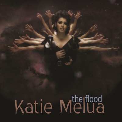 The Flood (Remixes)/Katie Melua