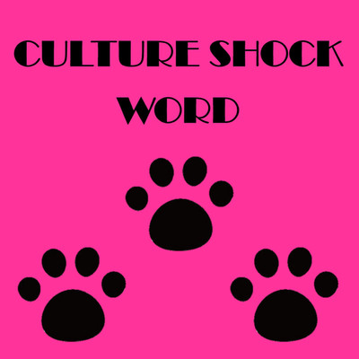 CULTURE SHOCK WORD/Cute Cat Club Orchestra