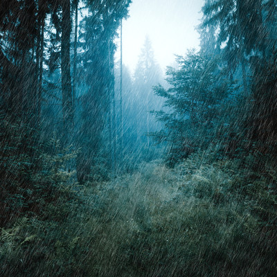 Sounds of Rain and Storm in the Nature/Nature sounds orchestra