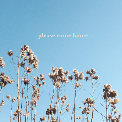アルバム/please come home/please come home