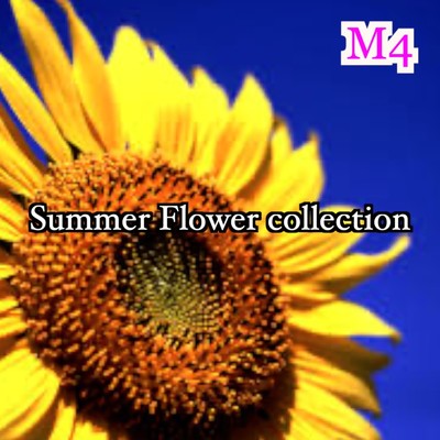 Summer Flower collection/M4