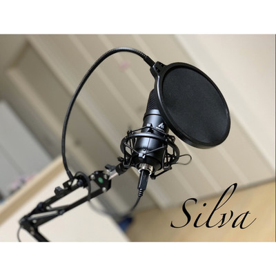 シングル/no money/Silva