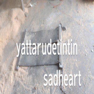 アルバム/sadheart/yattarudetintin
