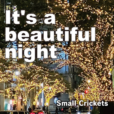 シングル/It's a beautiful night/Small Crickets