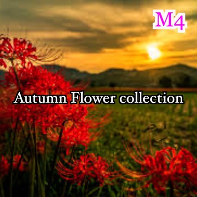 アルバム/Autumn Flower collection/M4